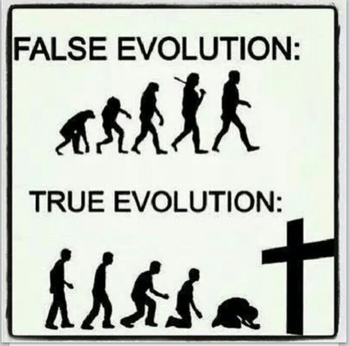 FALSA EVOLUTIE SI ADEVARATA EVOLUTIE