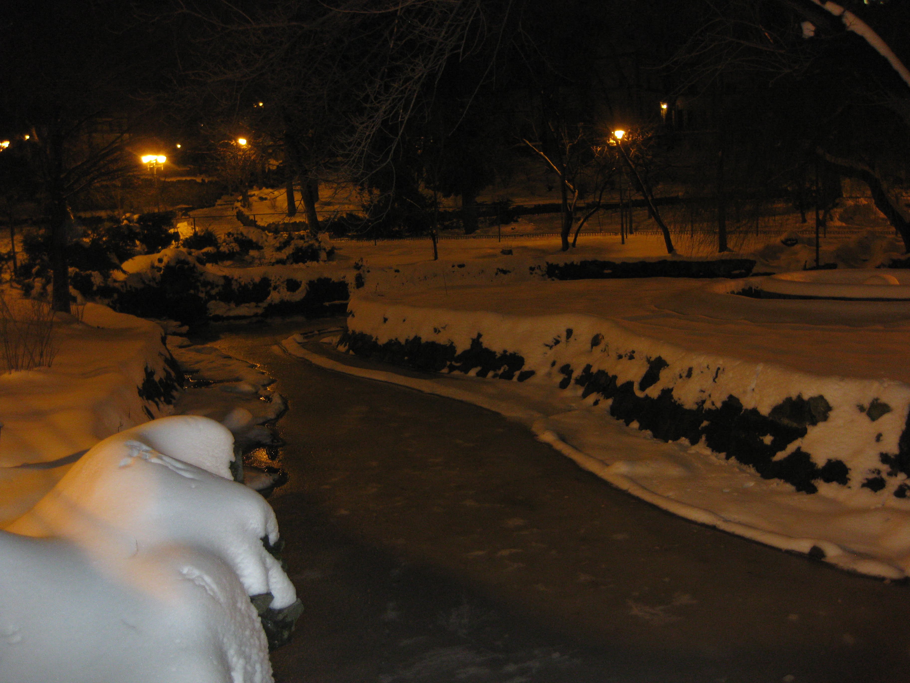 IARNA REVENITA IN TIMPUL PRIMAVERII LA BUCURESTI IN PARCUL CISMIGIU - 24 MARTIE 2018 IARNA REVENITA IN TIMPUL PRIMAVERII LA BUCURESTI IN PARCUL CISMIGIU - 24 MARTIE 2018