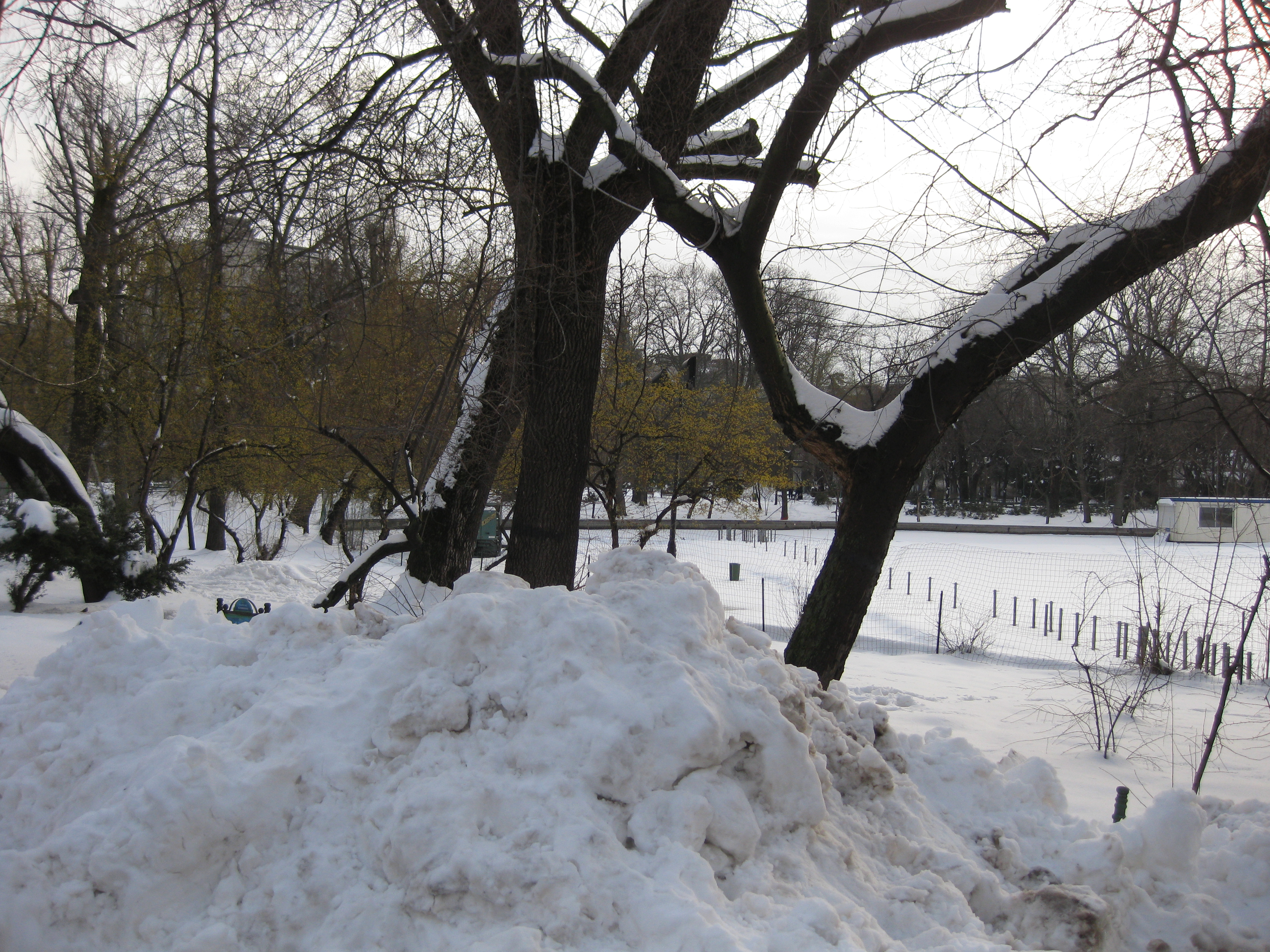LACUL CIȘMIGIU DIN BUCUREȘTI ERA ÎNGHEȚAT ȘI ACOPERIT DE ZĂPADĂ ÎN 24 MARTIE 2018 LACUL CIȘMIGIU DIN BUCUREȘTI ERA ÎNGHEȚAT ȘI ACOPERIT DE ZĂPADĂ ÎN 24 MARTIE 2018
