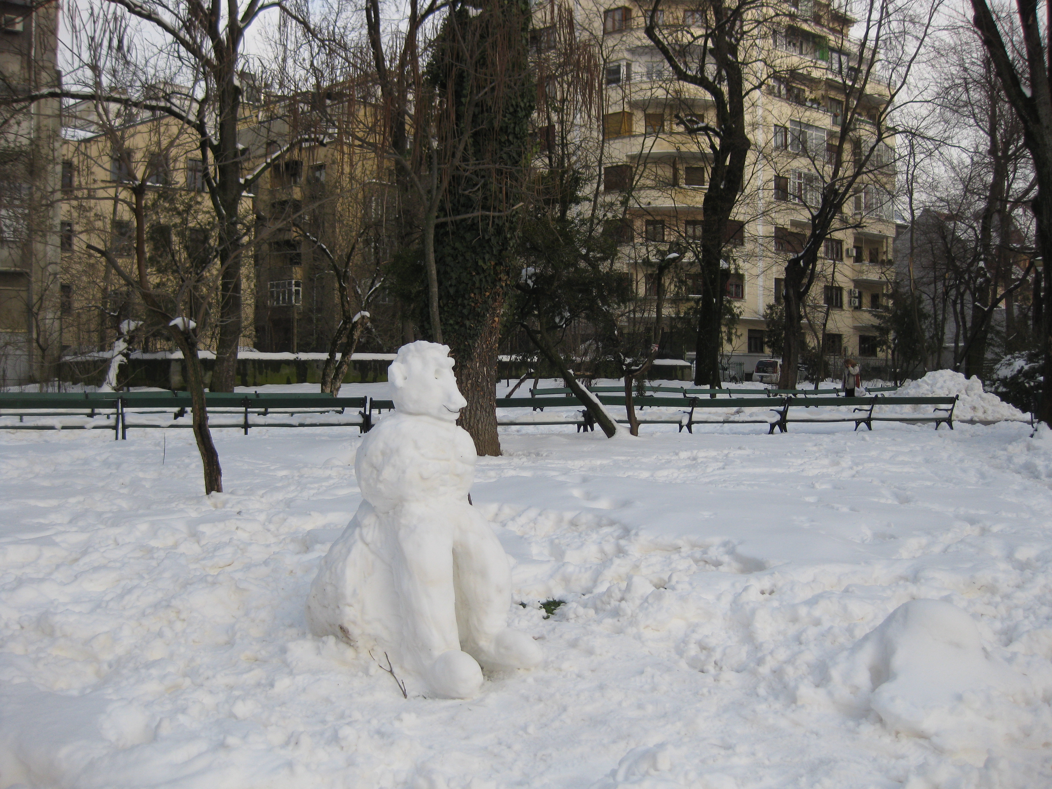 OM DE ZAPADA IN PARCUL CISMIGIU DIN BUCURESTI IN 24 MARTIE 2018 OM DE ZAPADA IN PARCUL CISMIGIU DIN BUCURESTI IN 24 MARTIE 2018