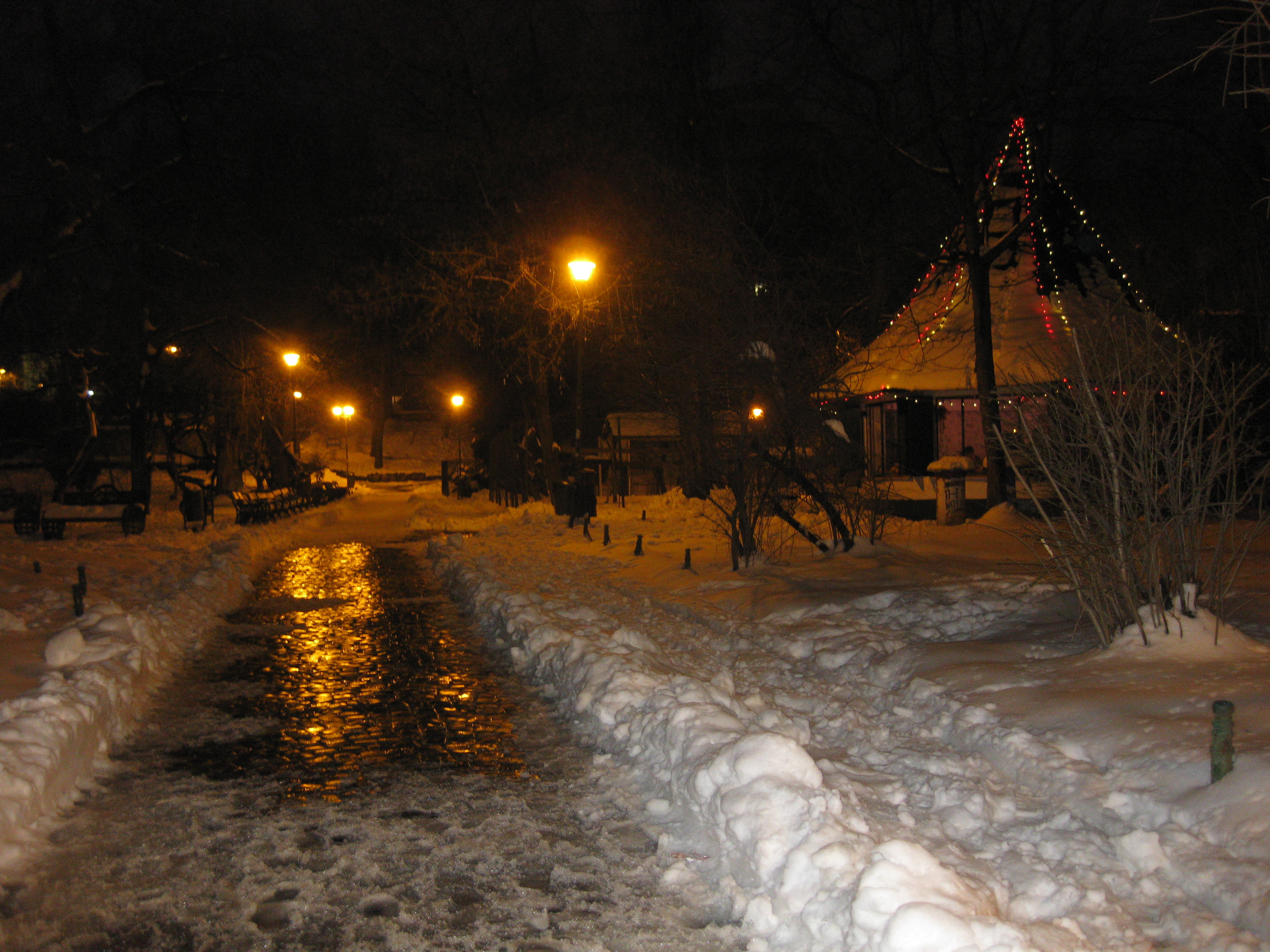 PEISAJ DE IARNA DUPA 24 ZILE DE PRIMAVARA IN PARCUL CISMIGIU DIN BUCURESTI - 24 MARTIE 2018 PEISAJ DE IARNA DUPA 24 ZILE DE PRIMAVARA IN PARCUL CISMIGIU DIN BUCURESTI - 24 MARTIE 2018