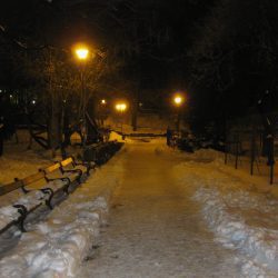 PRIMAVARA ALUNGATA DE IARNA IN PARCUL CISMIGIU DIN BUCURESTI - 24 MARTIE 2018