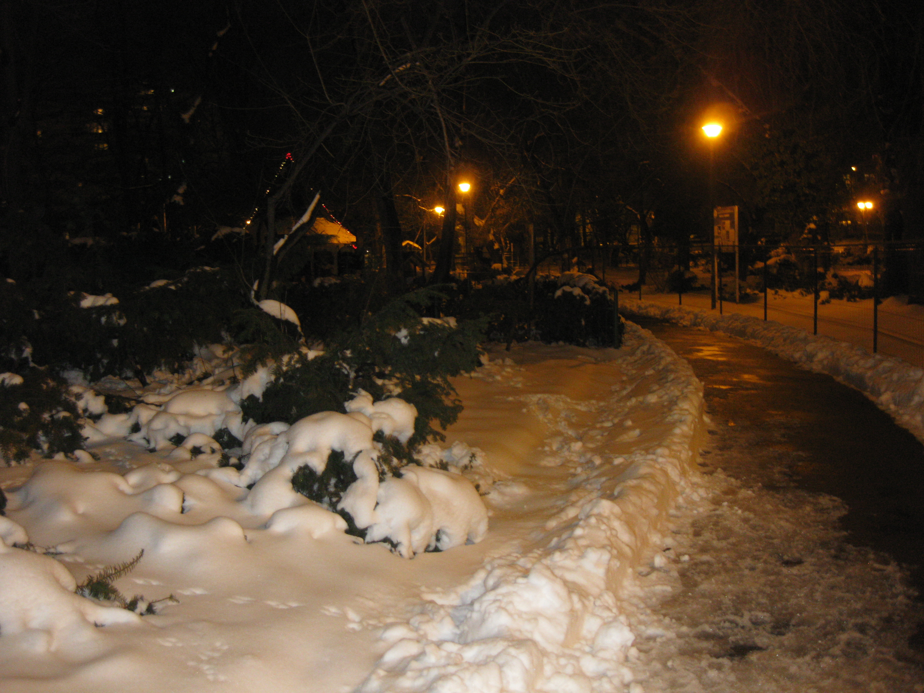 ZAPADA SFIDEAZA PRIMAVARA IN PARCUL CISMIGIU DIN BUCURESTI 24 MARTIE 2018 ZAPADA SFIDEAZA PRIMAVARA IN PARCUL CISMIGIU DIN BUCURESTI 24 MARTIE 2018