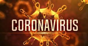 CORONAVIRUSUL SARS-COV-2 CORONAVIRUSUL SARS-COV-2