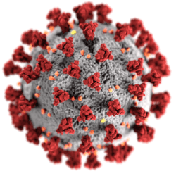 CORONAVIRUSUL SARS-COV-2 PRODUCE BOALA COVID 19