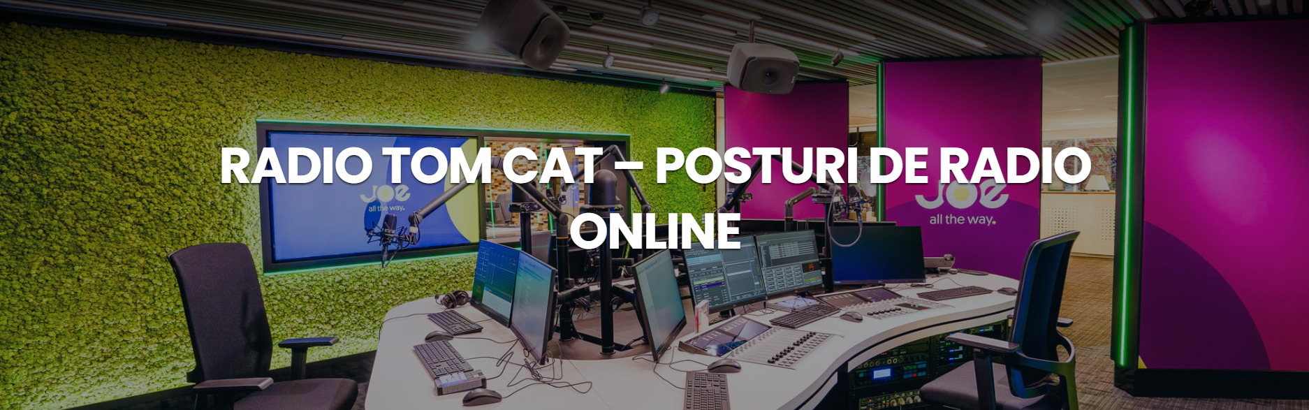 TV TOM CAT - POSTURI DE RADIO ONLINE